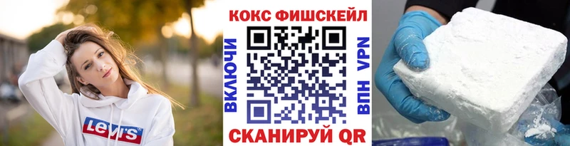 COCAIN Fish Scale  где можно купить   Петропавловск-Камчатский 