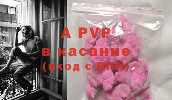 дживик Карпинск
