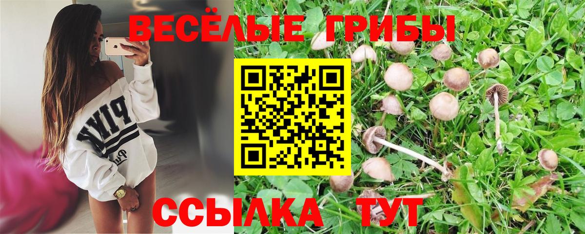 Псилоцибиновые грибы мицелий  Галлюциногенные грибы Psilocybe  Петропавловск-Камчатский 