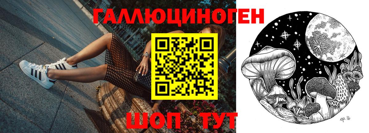 Галлюциногенные грибы GOLDEN TEACHER  Вход с VPN  Петропавловск-Камчатский 