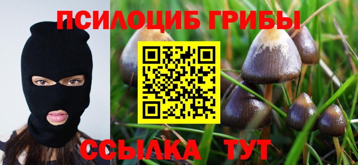 Галлюциногенные грибы Cubensis Петропавловск-Камчатский