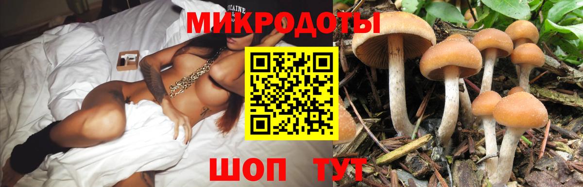 Галлюциногенные грибы Cubensis Петропавловск-Камчатский