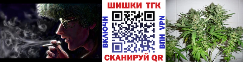 даркнет наркотические препараты купить наркотики сайты Петропавловск-Камчатский Каннабис сатива